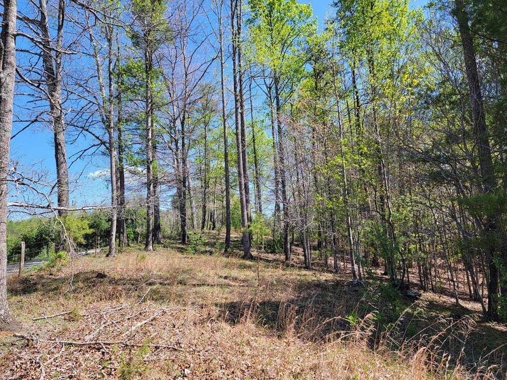 Picture 14