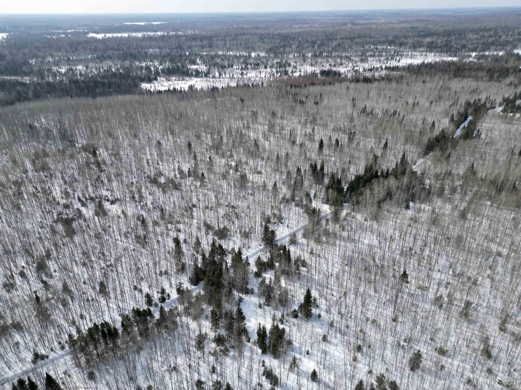 Picture 18
