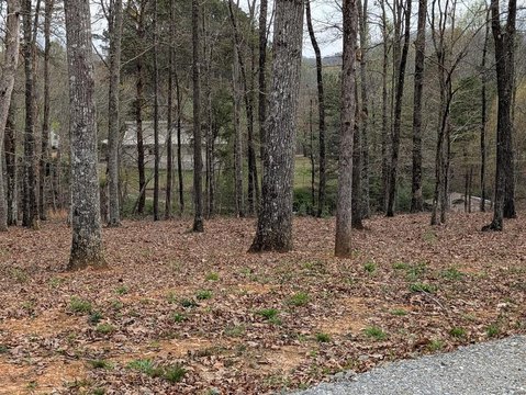 Brasstown Acreage with Mountain Views