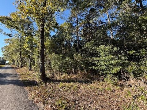 8.8+ Acres Near Jasper, TX