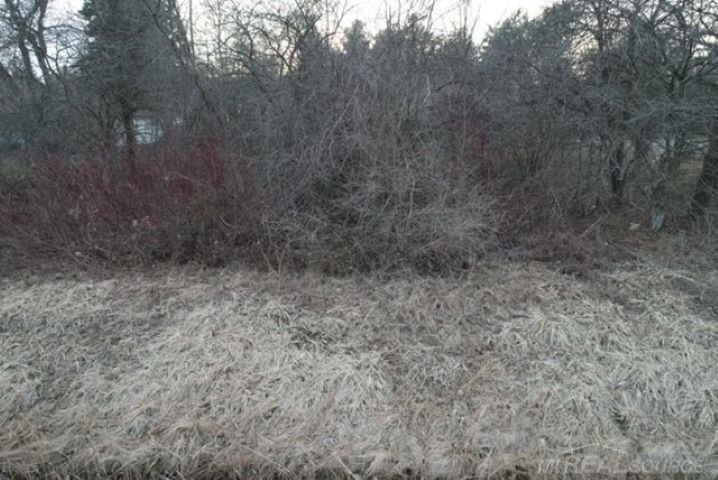 Picture 11