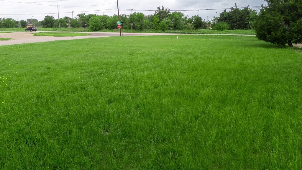 Picture 22