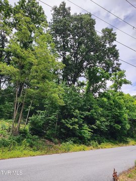 Secluded Wooded Lot in Kingsport