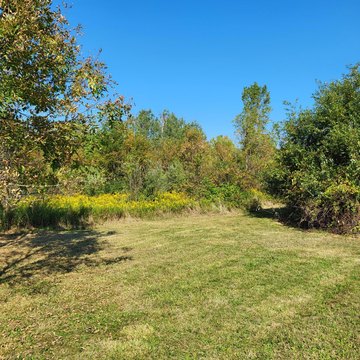 New Buffalo Land for Sale