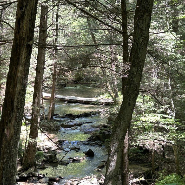 Picture 27