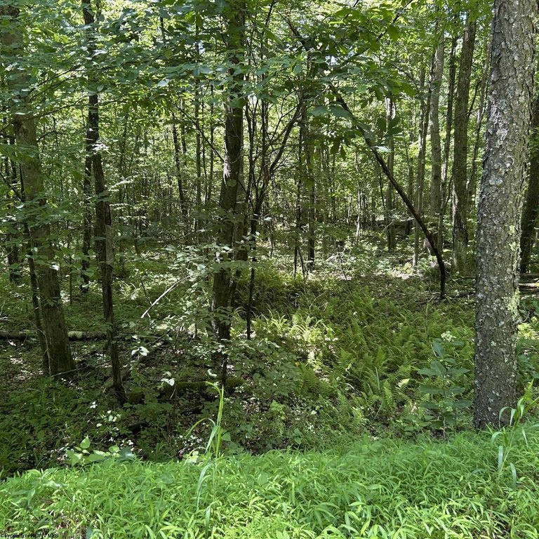 Picture 28