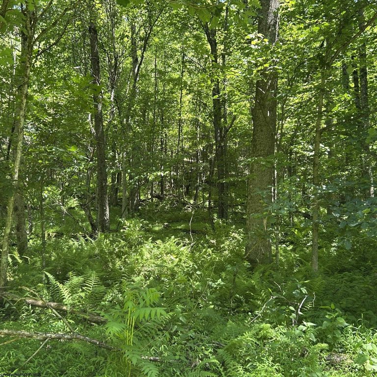 Picture 26