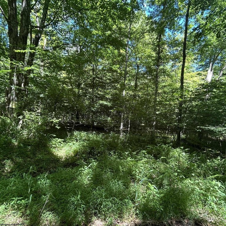 Picture 25