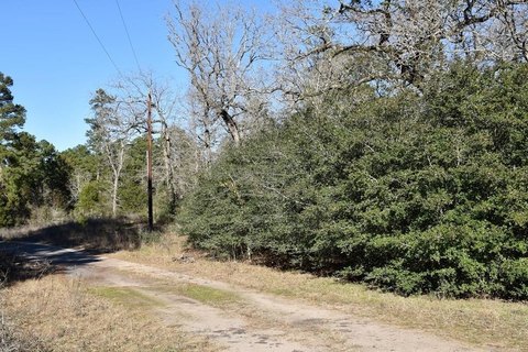Grapeland, TX Unimproved Land