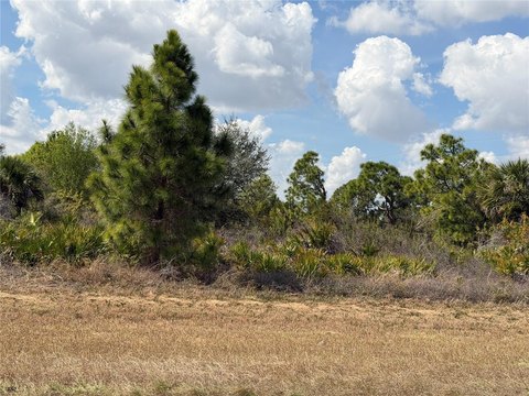 Vacant Lot in Lehigh Acres