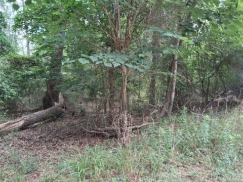 LAND - Murchison, TX