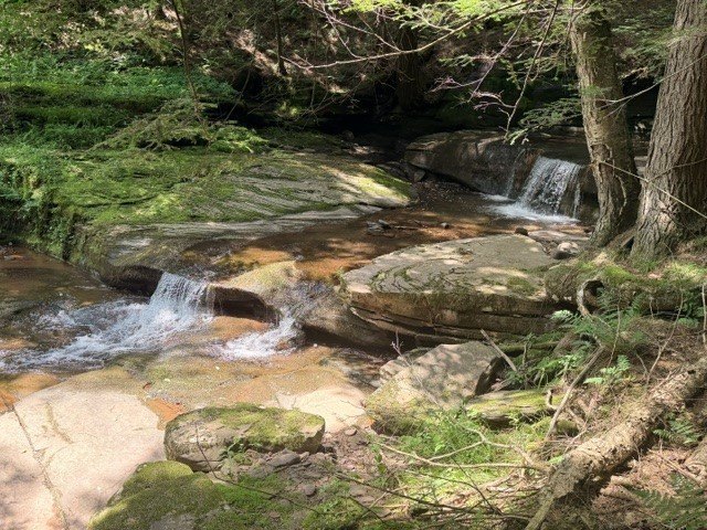 Picture 17