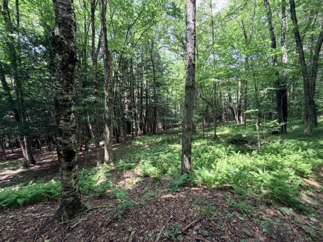 Picture 19