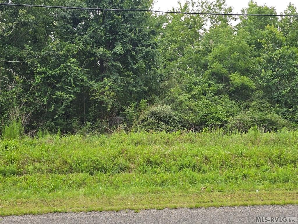 Picture 19