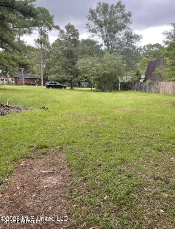 Picture 3
