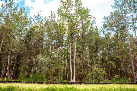 Clarks Hill Estate-Sized Lot