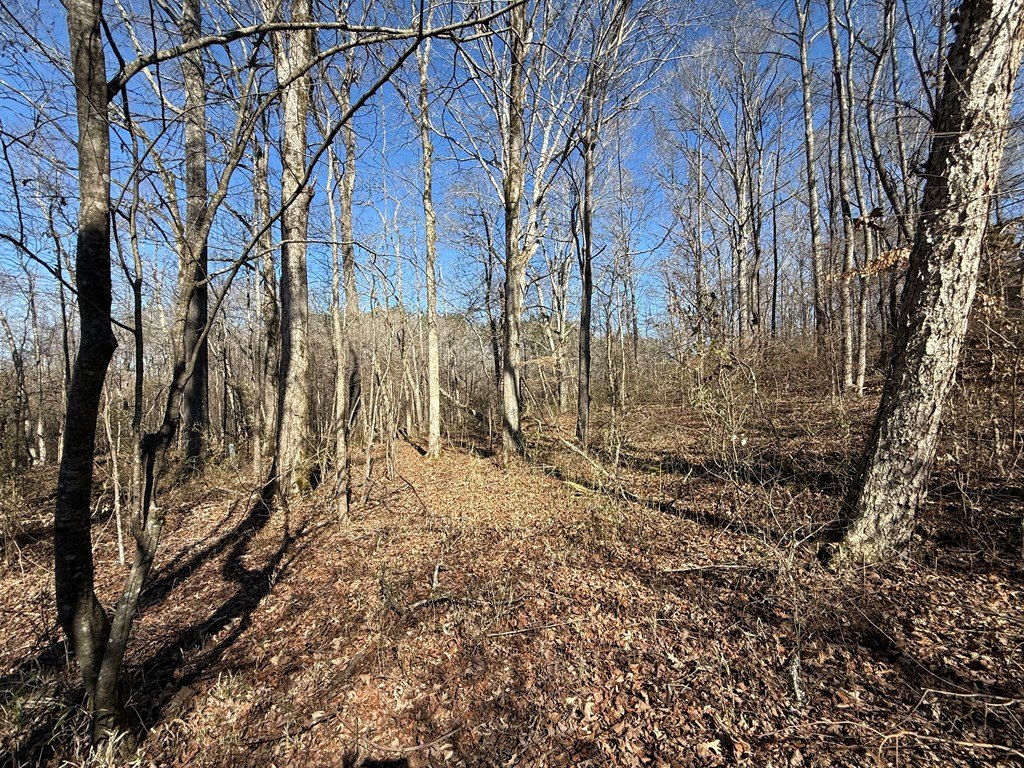 Picture 21