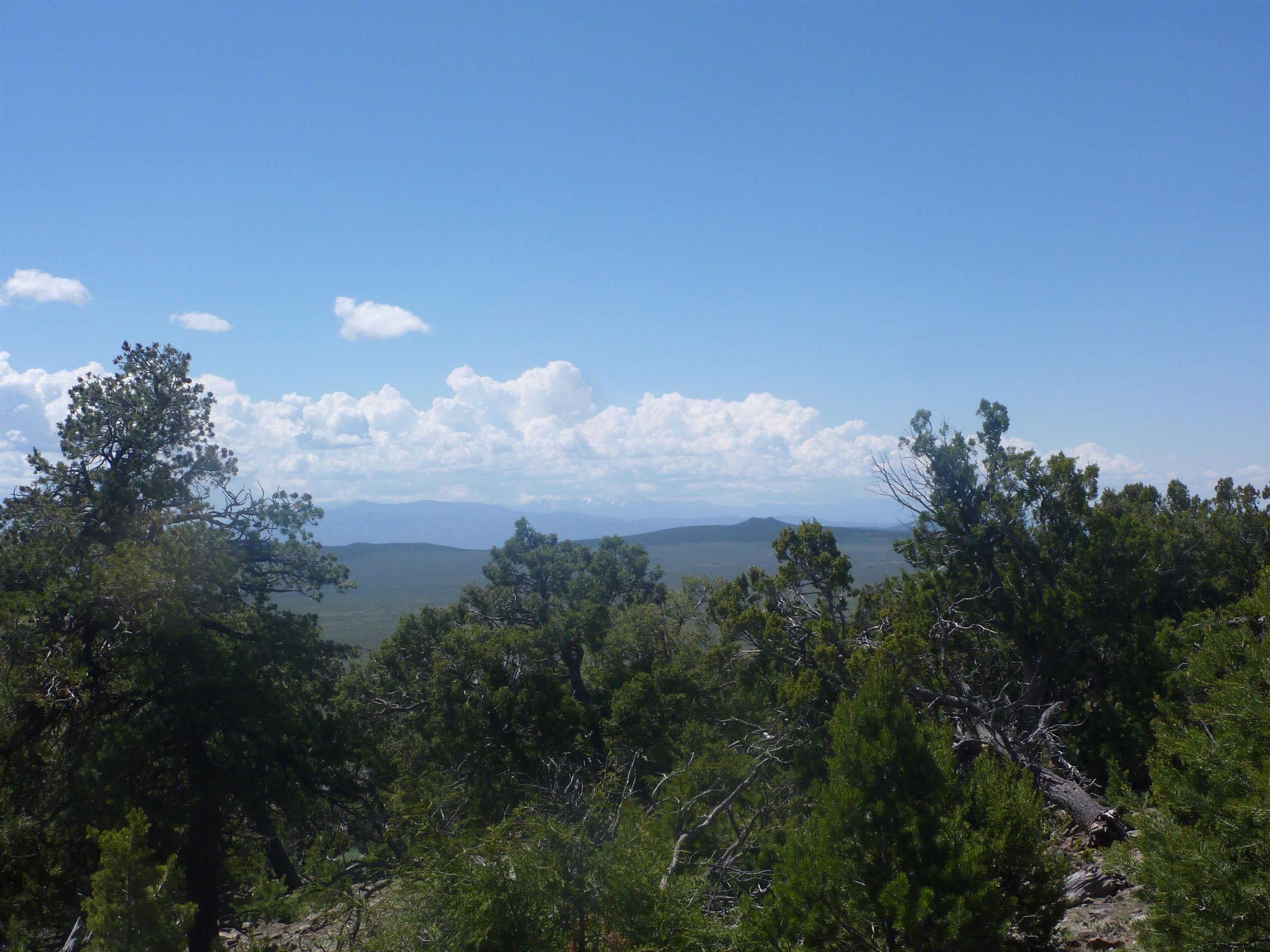 Secluded Land Parcel in Taos