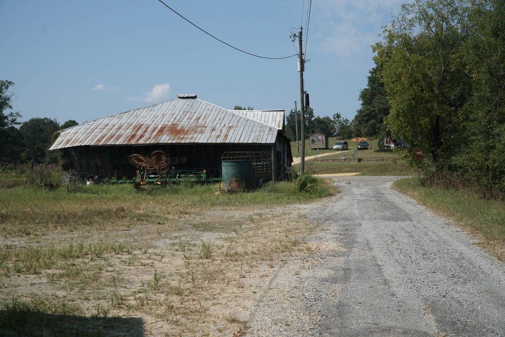 Picture 8