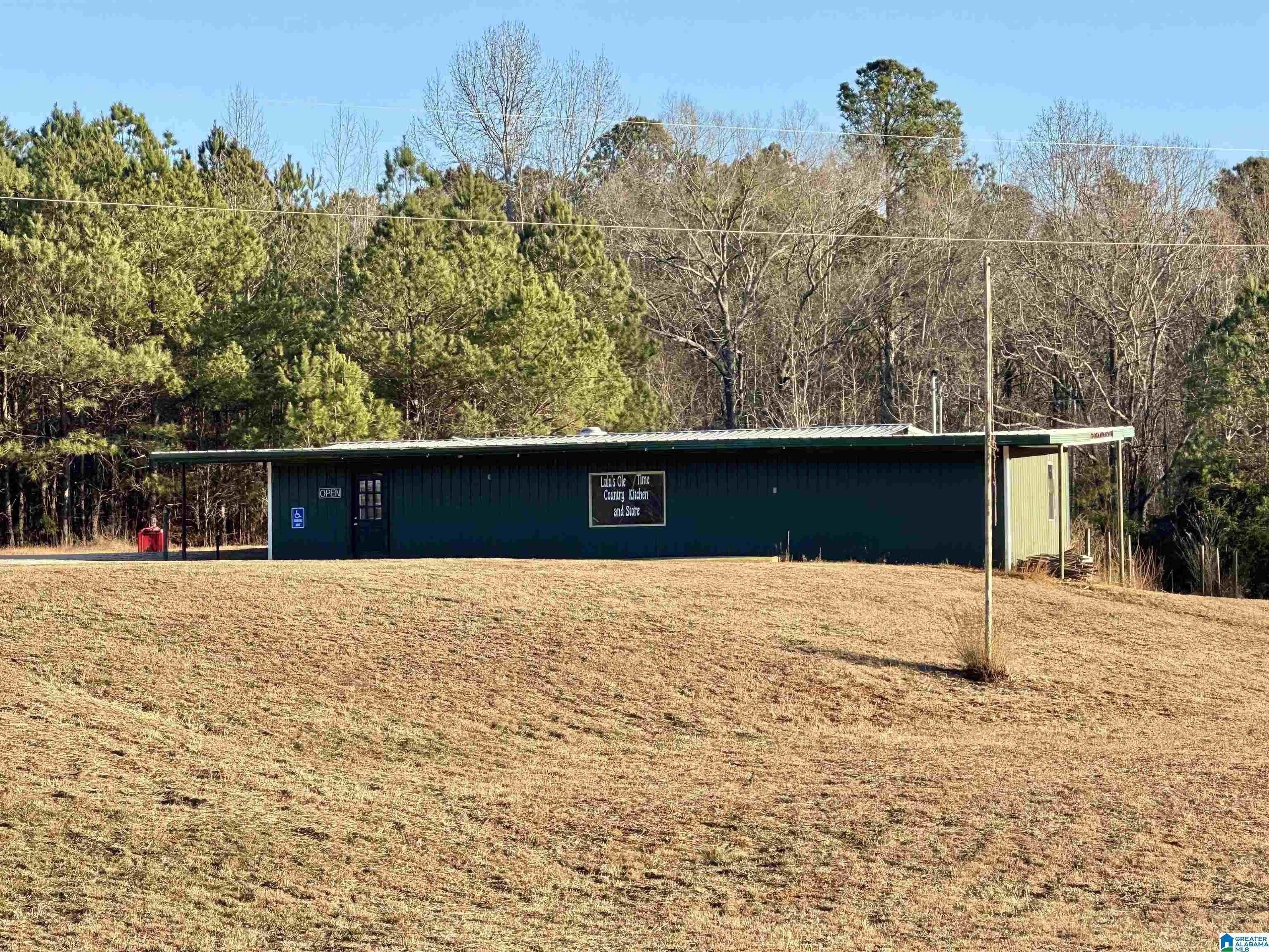 Wedowee Retail Building on Acreage