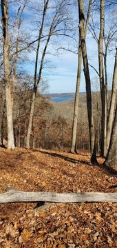 Land, Eureka Springs, AR