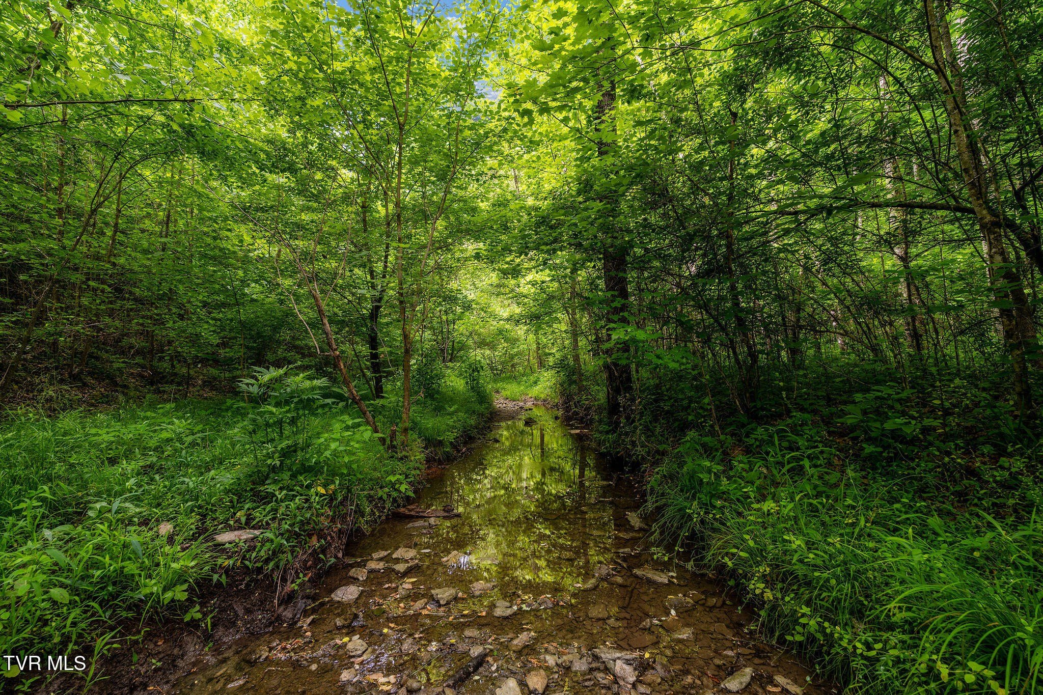 Unrestricted Mountain Land For Sale