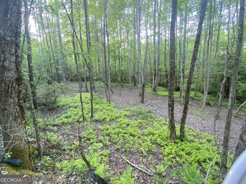 Picture 27