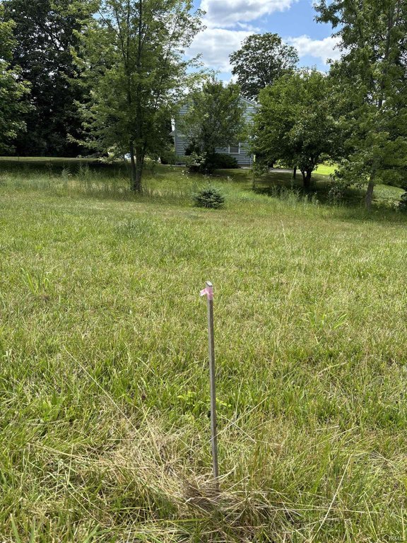 Picture 5