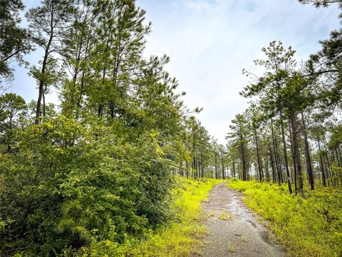 Jasper, TX Unimproved Land