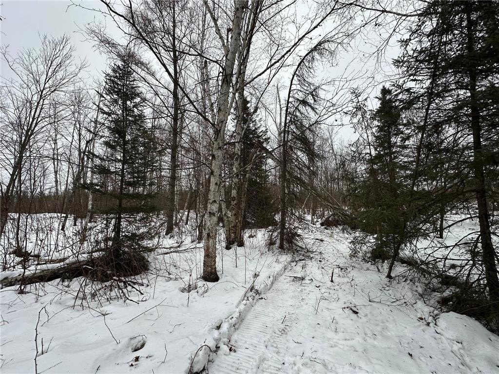 Picture 2