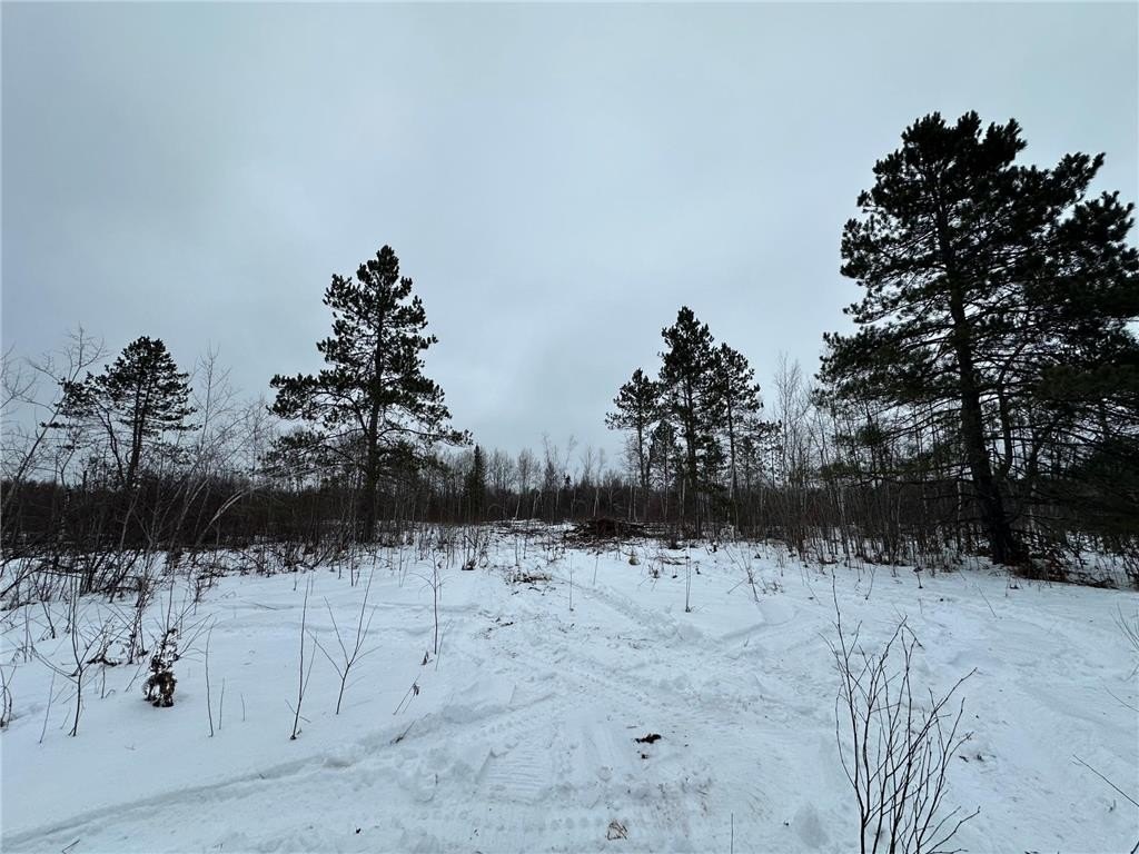 Picture 9