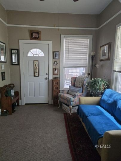 Picture 7