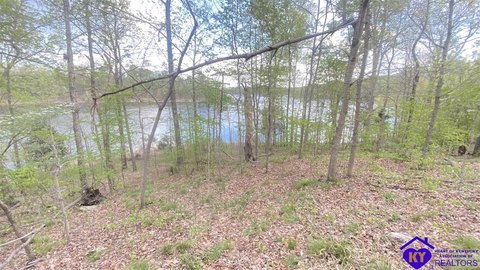 Rough River Lake Development Opportunity