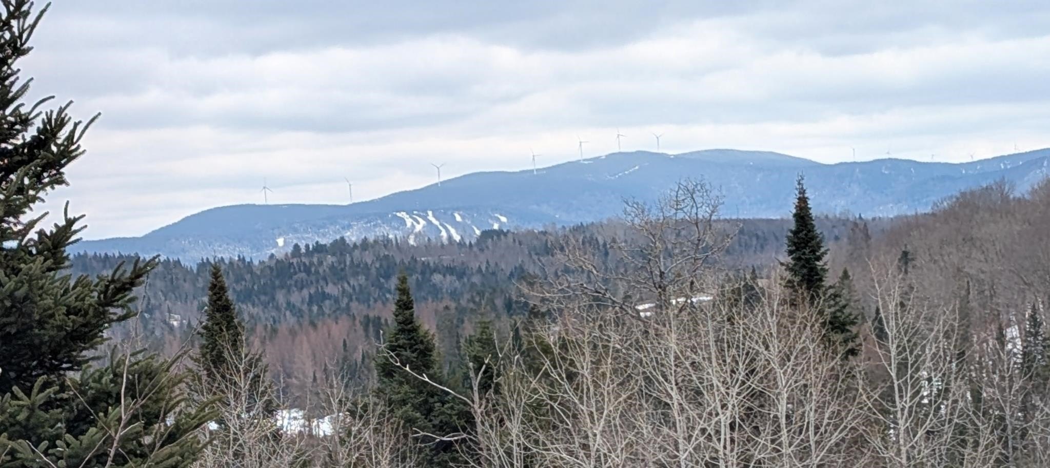 Land with Mountain Views