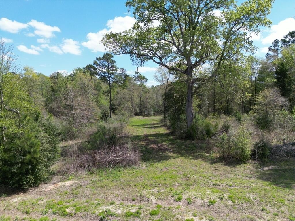 Picture 8