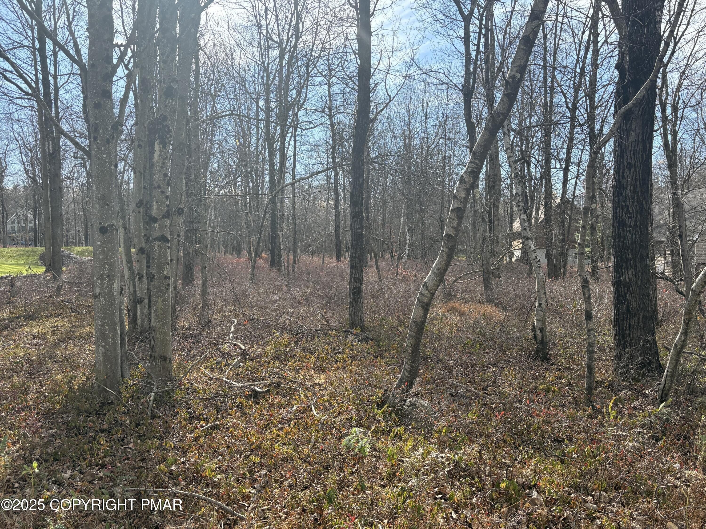Blakeslee Land in Amenity-Rich Community