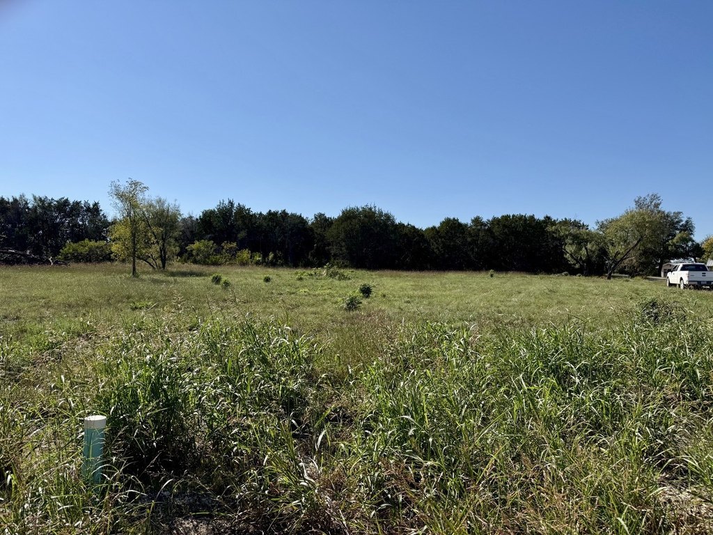 Picture 21