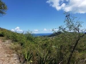 Land - St. Croix, VI