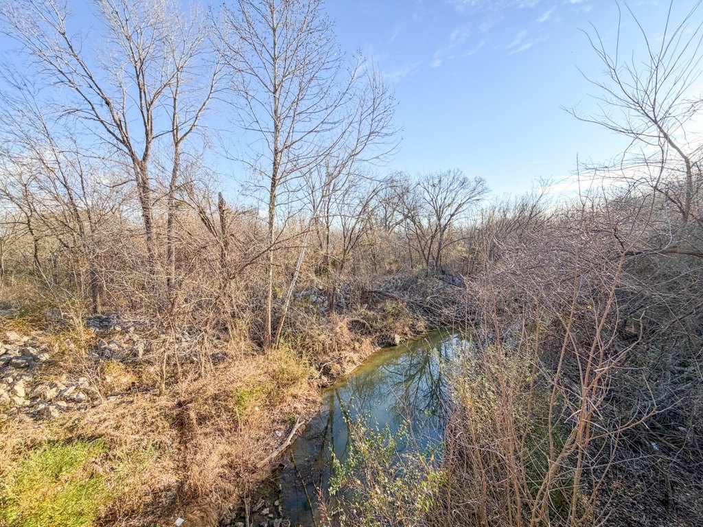Picture 44