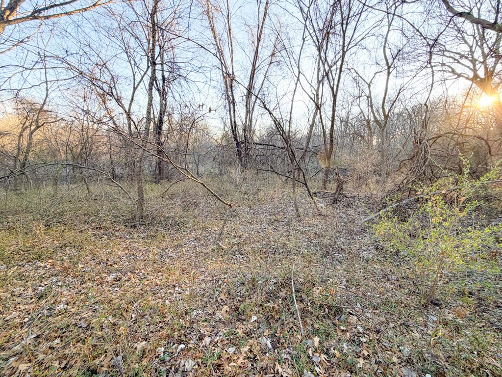Picture 26