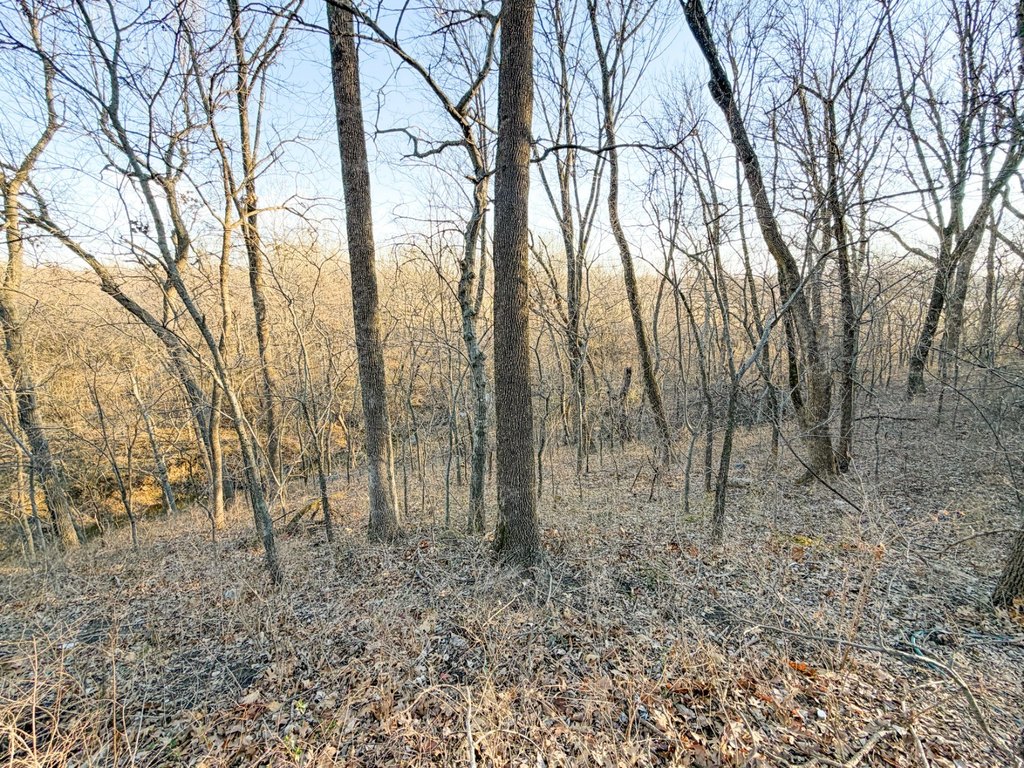Picture 31