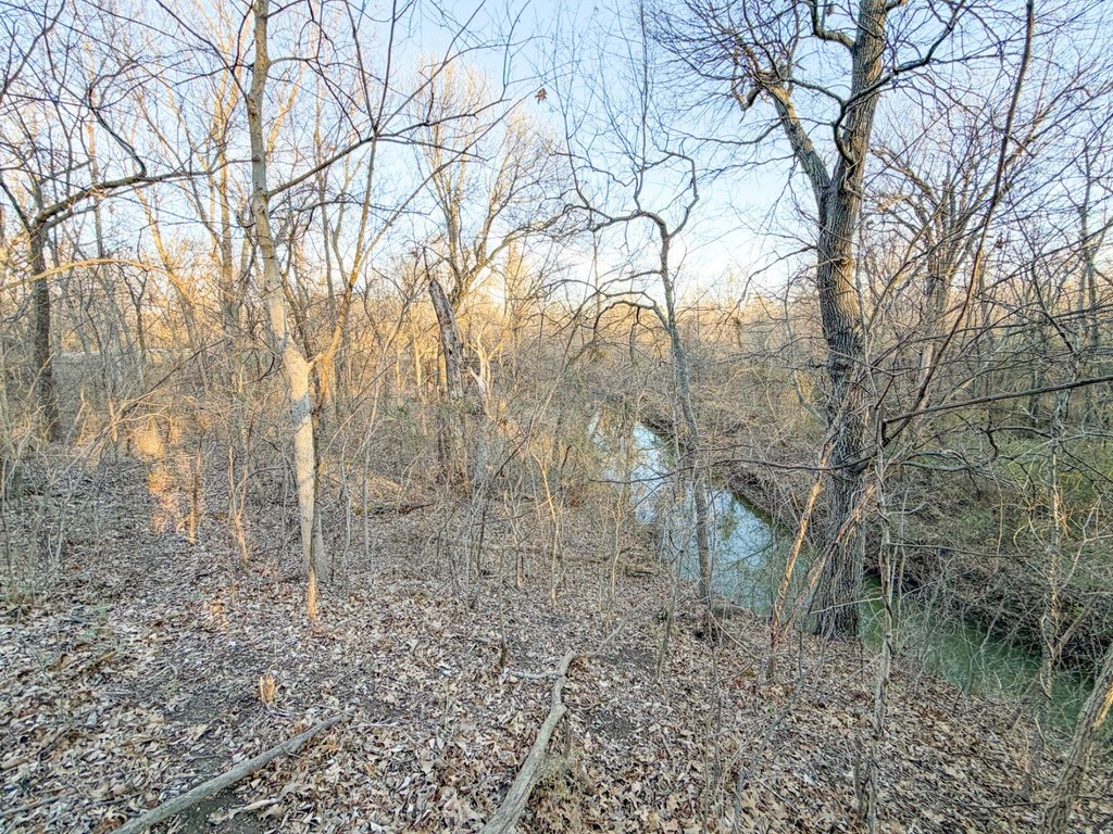 Picture 29