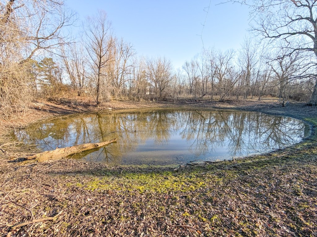 Picture 40