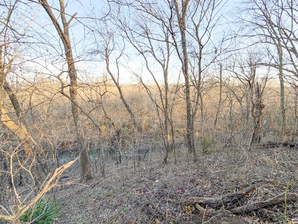 Picture 30