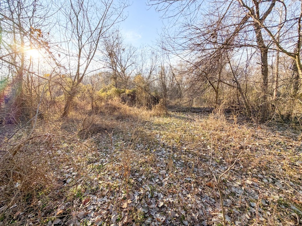 Picture 41