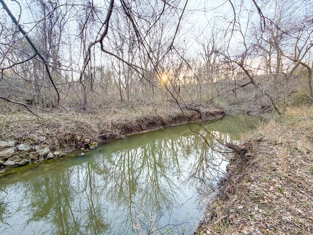 Picture 27