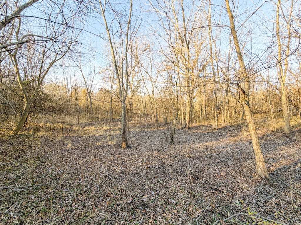 Picture 38
