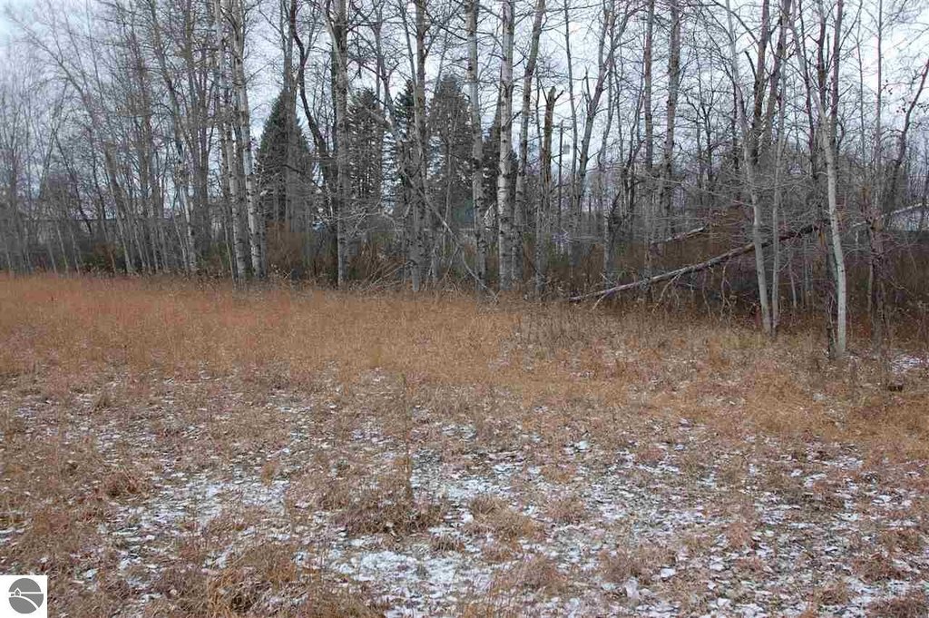 Picture 7