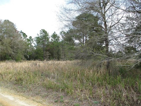 Residential Lot in Rainbow Park
