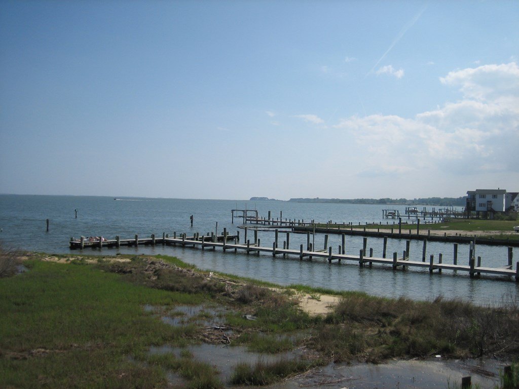 Picture 17